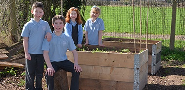Pallets help Broadwas CE Primary School 'out hop' local rabbits