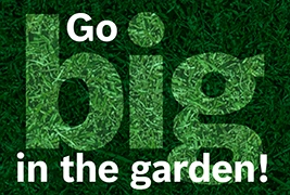 Go big in the garden